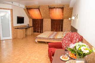 Гостиница Виктория Хаус Новосибирск Стандартный двухместный номер с 1 кроватью-13